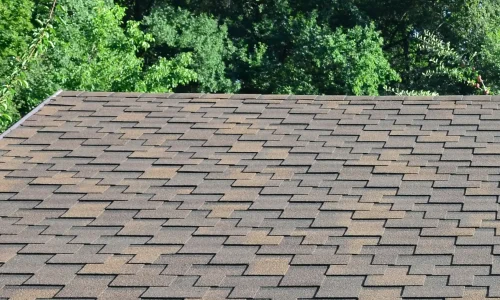 Shingle Roofing & Shingle Ply Systems