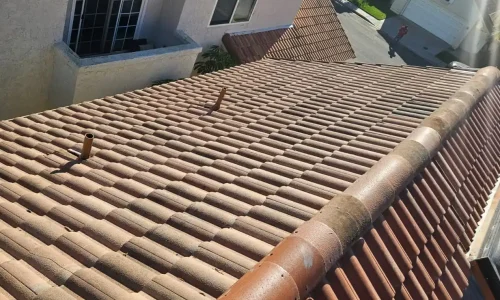 WhatsApp Image 2026-01-28 at 09.07.24 (1)