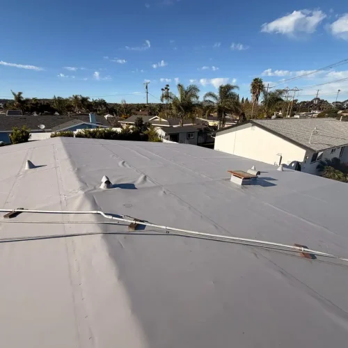 WhatsApp Image 2026-01-28 at 09.07.24