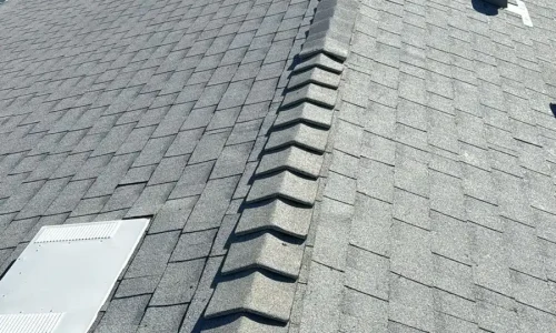 WhatsApp Image 2026-01-28 at 09.11.08