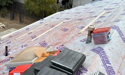 WhatsApp Image 2026-01-28 at 09.11.13