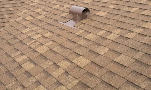 WhatsApp Image 2026-01-28 at 09.13.37