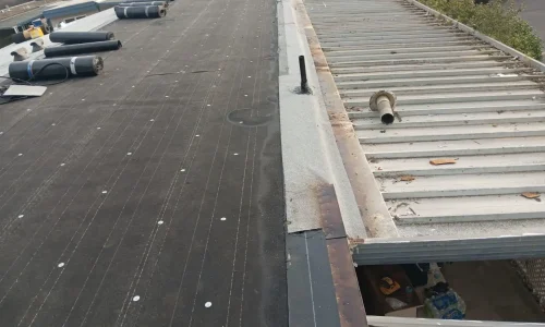 WhatsApp Image 2026-01-28 at 09.13.45 (1)