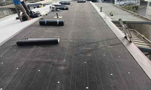 WhatsApp Image 2026-01-28 at 09.13.47