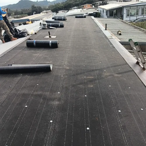 WhatsApp Image 2026-01-28 at 09.13.47