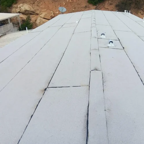 WhatsApp Image 2026-01-28 at 09.13.53